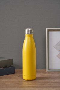 best stainless steel water bottle